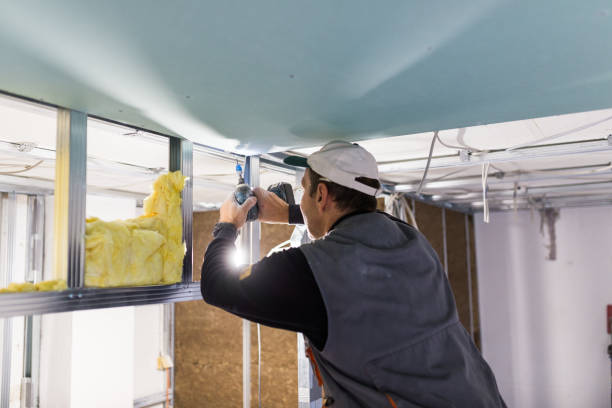 Best Spray Foam Insulation in Roscommon, MI